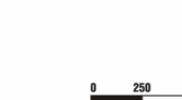 spinne1x1.gif